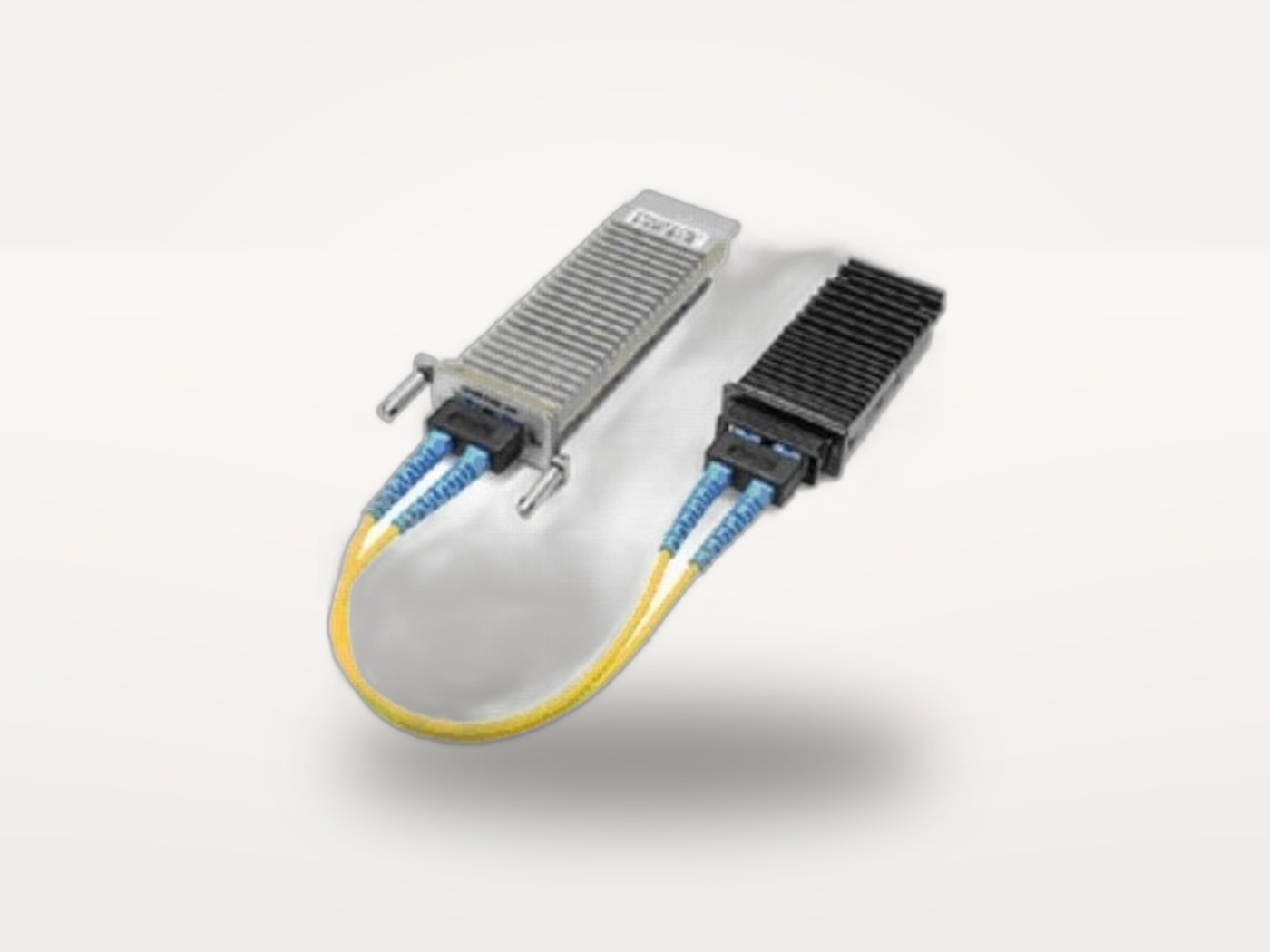 X2-10GB-T (Ch)