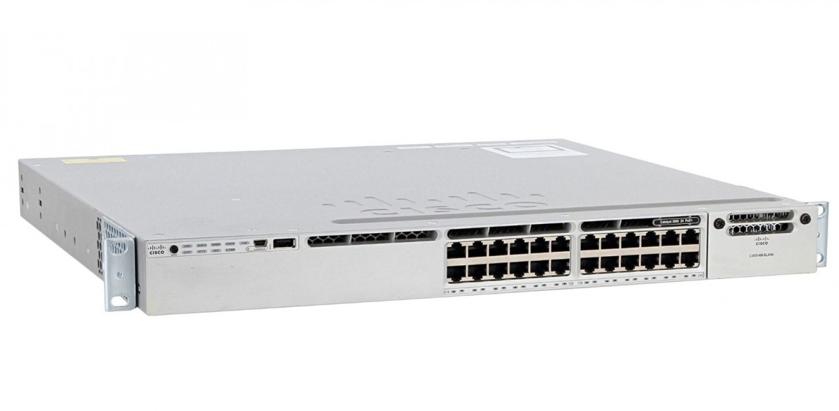 WS-C3850-24XS-S (Ch)