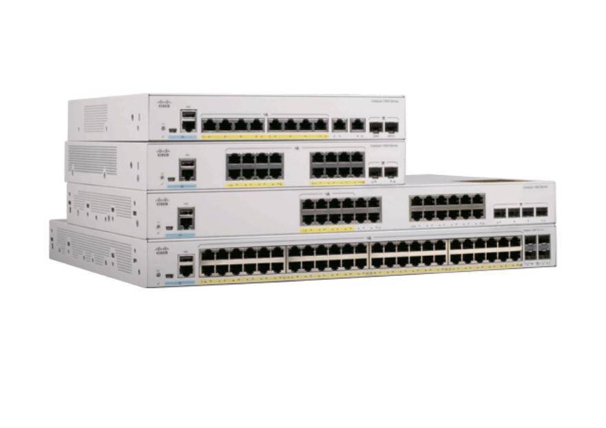 C1000FE-48P-4G-L (ch)