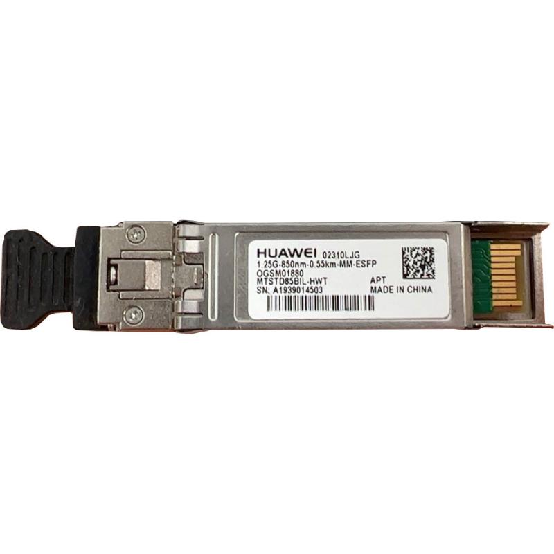 OGSM01880 (ch)